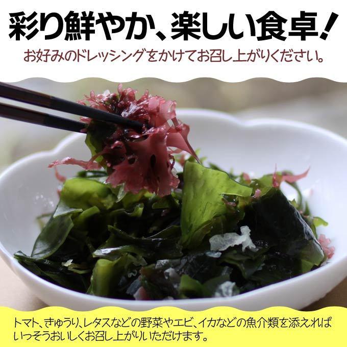 海藻サラダ 乾燥 前島食品 8g ×10袋セット 茎わかめ わかめ めかぶ