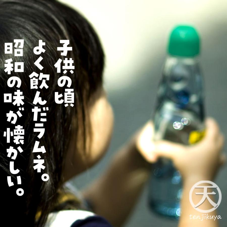 ラムネ ラムネ飲料 ラムネジュース 安い 業務用 飲料 ペットボトル