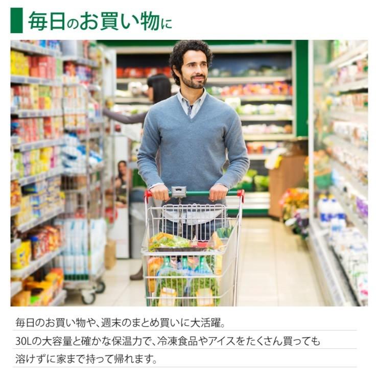 保冷バッグ 30L 大容量 5層構造 保温バッグ クーラーバッグ キャンプ アウトドア バッグ 人気 保冷バッグ 保冷 保温 バッグ | LAD WEATHER | 21