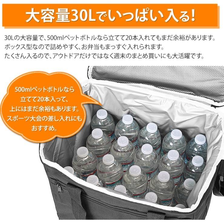 保冷バッグ 30L 大容量 5層構造 保温バッグ クーラーバッグ キャンプ アウトドア バッグ 人気 保冷バッグ 保冷 保温 バッグ | LAD WEATHER | 13