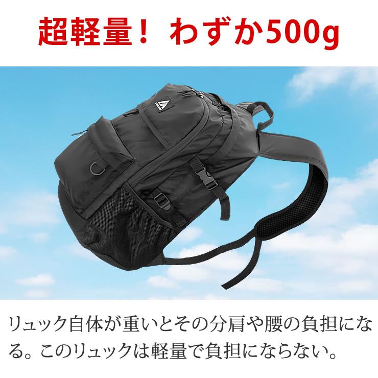 LAD WEATHER（ラドウェザー） リュック メンズ レディース 防水 軽量
