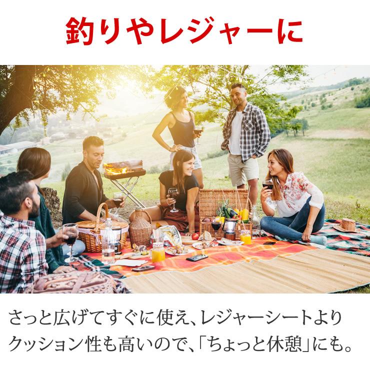 LAD WEATHER（ラドウェザー） キャンプ マット キャンプ用品 テント