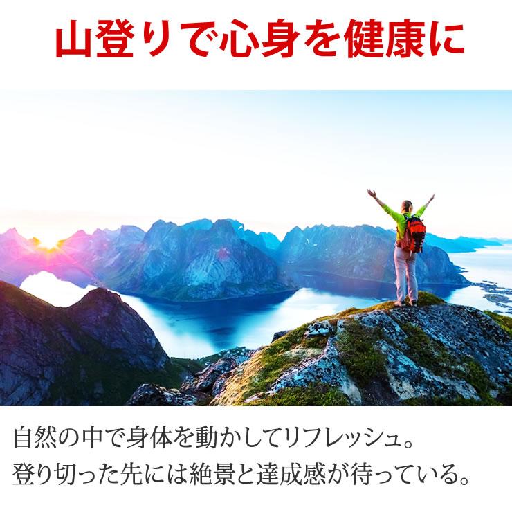 登山 靴下 メンズ レディース 抗菌防臭 滑りにくい あったかい靴下 山登り キャンプ アウトドア ウォーキング 暖かい あったか 釣り ゴルフ 山登り 中厚手 | LAD WEATHER | 17