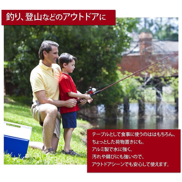 折りたたみテーブル キャンプ テーブル アウトドア 軽量 ローテーブル 人気 おしゃれ キャンプ用品 アウトドア用品 ソロキャンプ | LAD WEATHER | 20