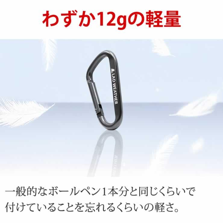 LAD WEATHER（ラドウェザー） カラビナ キーホルダー 5個セット 軽量で