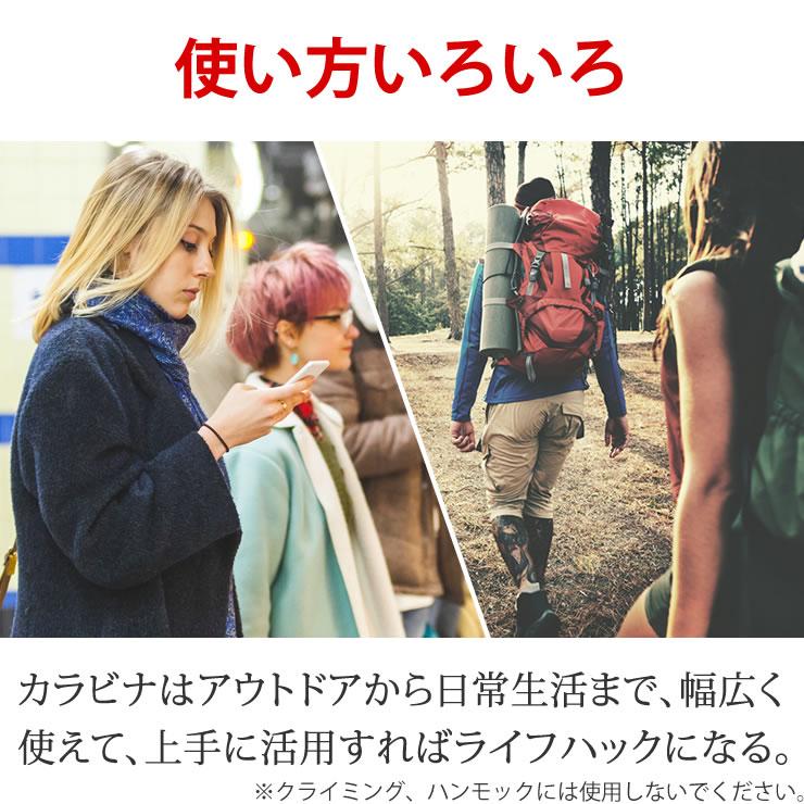 カラビナ キーホルダー 5個セット 軽量で錆びないアルミ製 小型カラビナ キャンプ用品 防災グッズ キーリング アウトドア 登山 D型カラビナ おしゃれ 釣り道具 | LAD WEATHER | 09