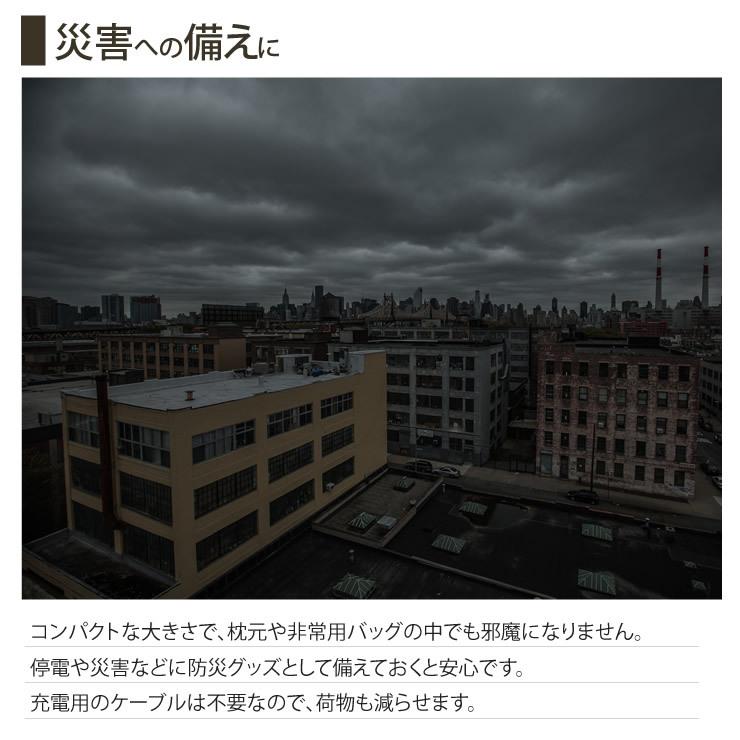 LEDライト 懐中電灯 極小サイズ 充電式 防水 防災 災害 グッズ キャンプ アウトドア LED ライト 懐中電灯 | LAD WEATHER | 09