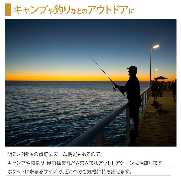 LEDライト 懐中電灯 極小サイズ 充電式 防水 防災 災害 グッズ キャンプ アウトドア LED ライト 懐中電灯 | LAD WEATHER | 10