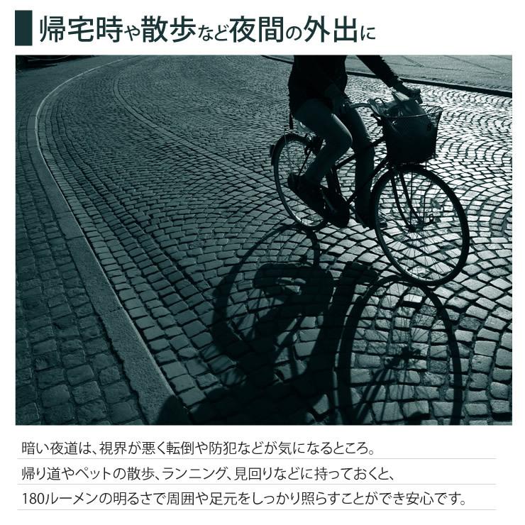 LEDライト 懐中電灯 極小サイズ 充電式 防水 防災 災害 グッズ キャンプ アウトドア LED ライト 懐中電灯 | LAD WEATHER | 11