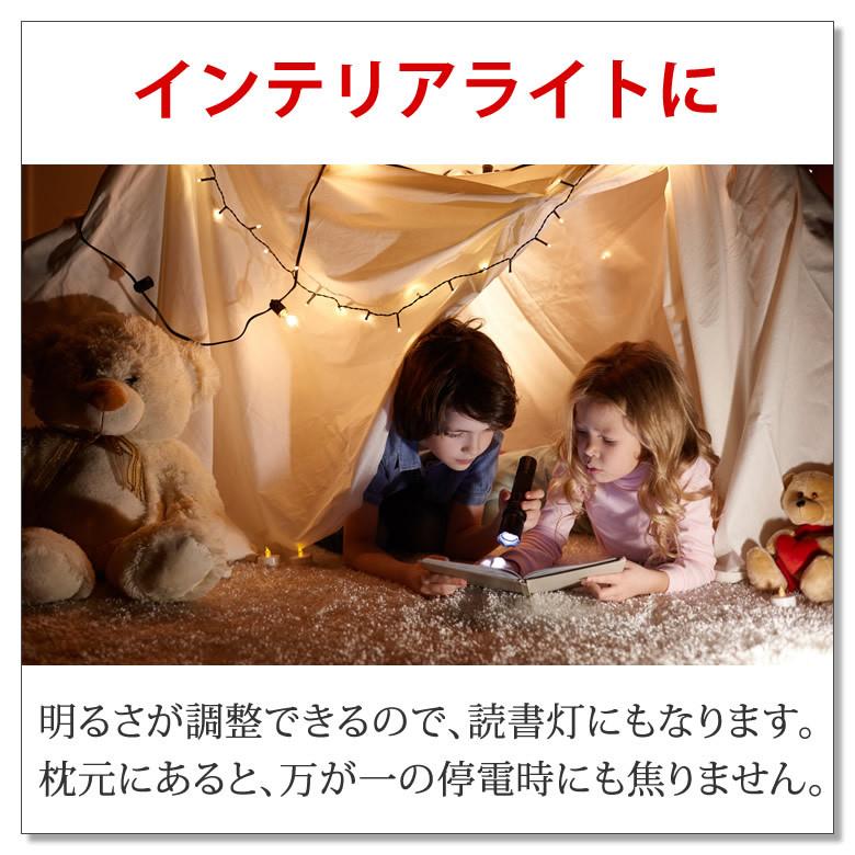 LED ランタン 最強の2,000ルーメン キャンプ アウトドア 登山 LEDランタン LEDライト 防災グッズ ランタン キャンプ | LAD WEATHER | 19