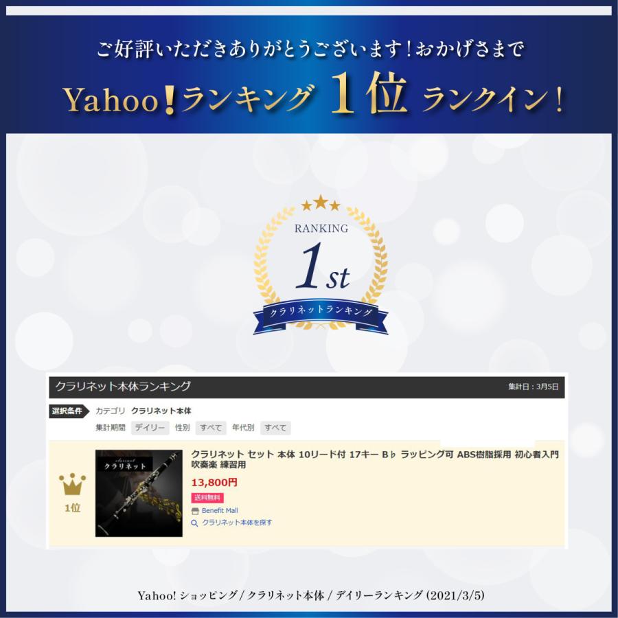 クラリネット ケース 付 10 リード 本体セット 17キー B クラリネット ケース 付 10 リード 本体セット 17キー B
