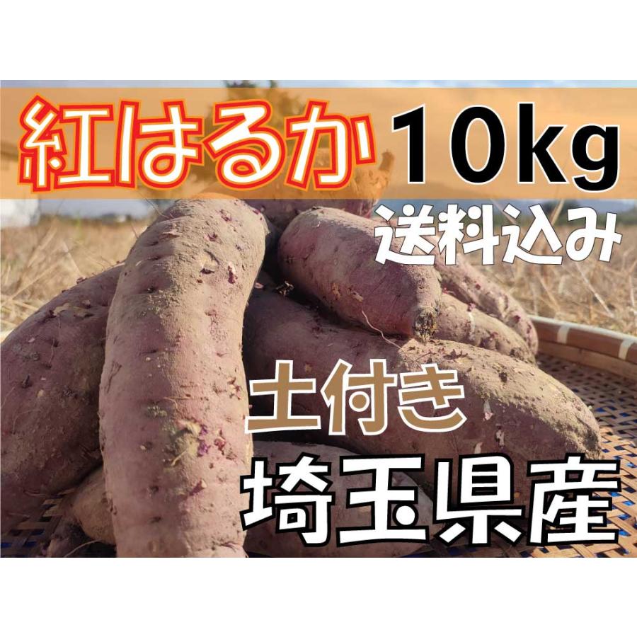 紅はるか 10kg 生芋 さつまいも 土付き 埼玉県産 べにはるか 10 紅はるか 10kg 生芋 さつまいも 土付き 埼玉県産 べにはるか 10