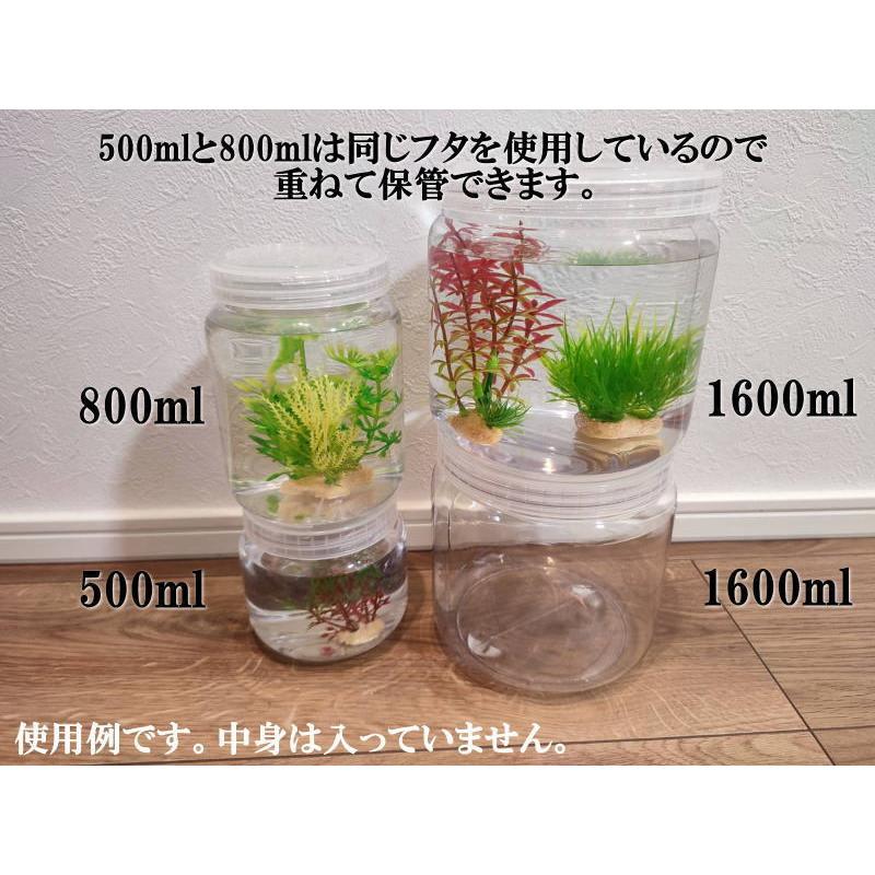 飼育容器円柱ボトルケース5個セット 800ml飼育容器（昆虫、カブトムシ
