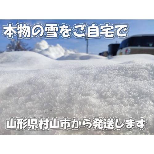 本物の雪の販売（村山市の雪をクール冷凍便にて発送します。） | 