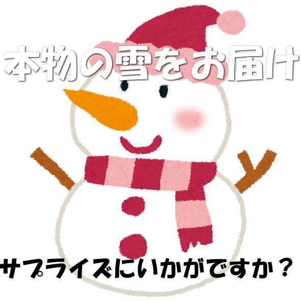 本物の雪の販売（村山市の雪をクール冷凍便にて発送します。） |  | 04
