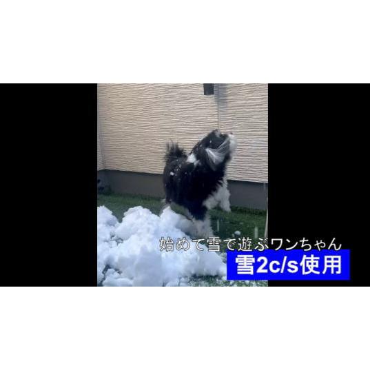 本物の雪の販売（村山市の雪をクール冷凍便にて発送します。） |  | 03