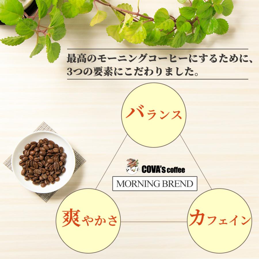 コーヒー豆 自家焙煎珈琲豆 aiSUru コラボレーション 浅煎りモーニングブレンド 海外最新 200g お試し ブレンドコーヒー 粉 豆のまま  ブラジル