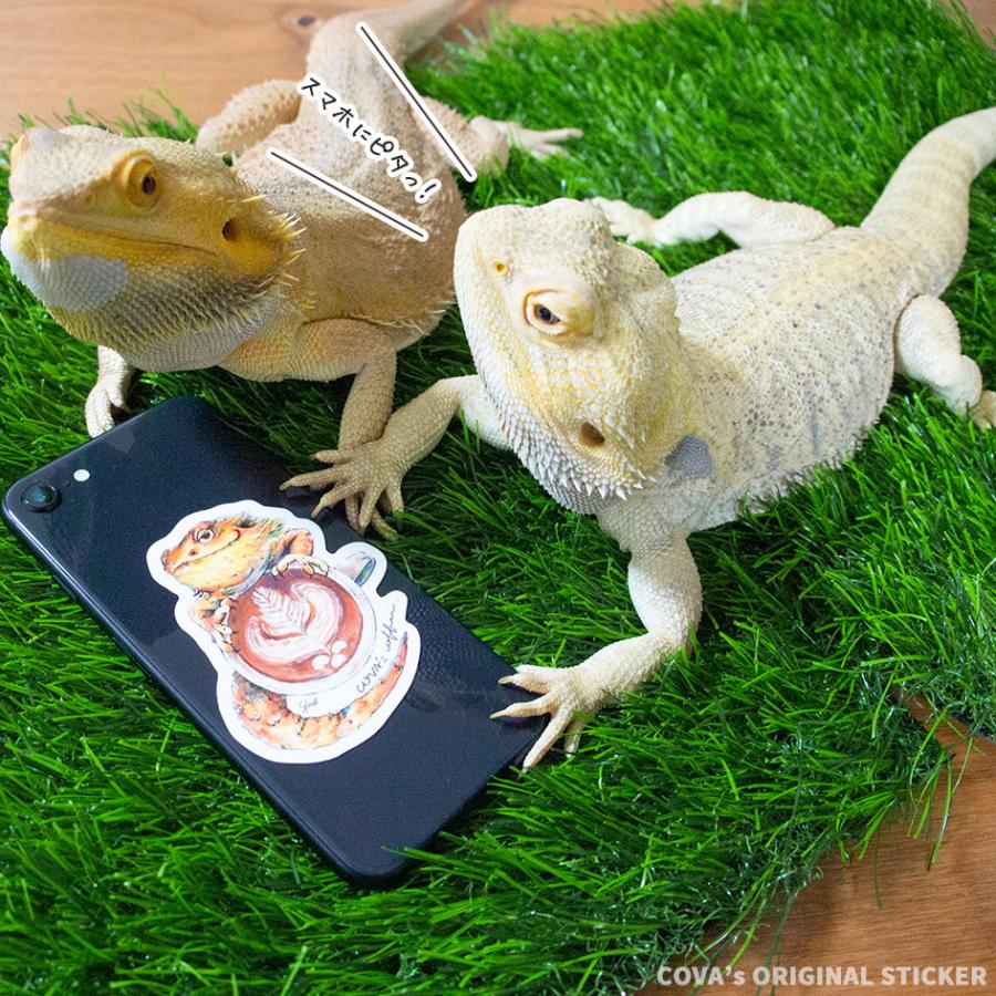 ステッカー シール トカゲ カエル 爬虫類 スマホ パソコン iPhone かわいい おしゃれ 携帯 防水 濡れても大丈夫｜covas-coffee｜18