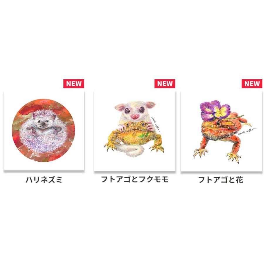 ステッカー シール トカゲ カエル 爬虫類 スマホ パソコン iPhone