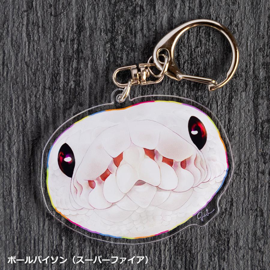 キーホルダー 爬虫類グッズ アオジタトカゲ クレステッドゲッコー ニシ