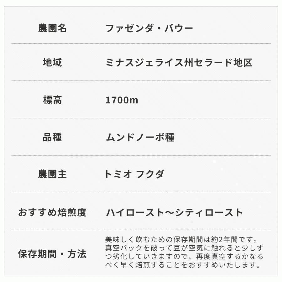 コーヒー 生豆 お得な 500g ブラジル トミオフクダ ドライオンツリー