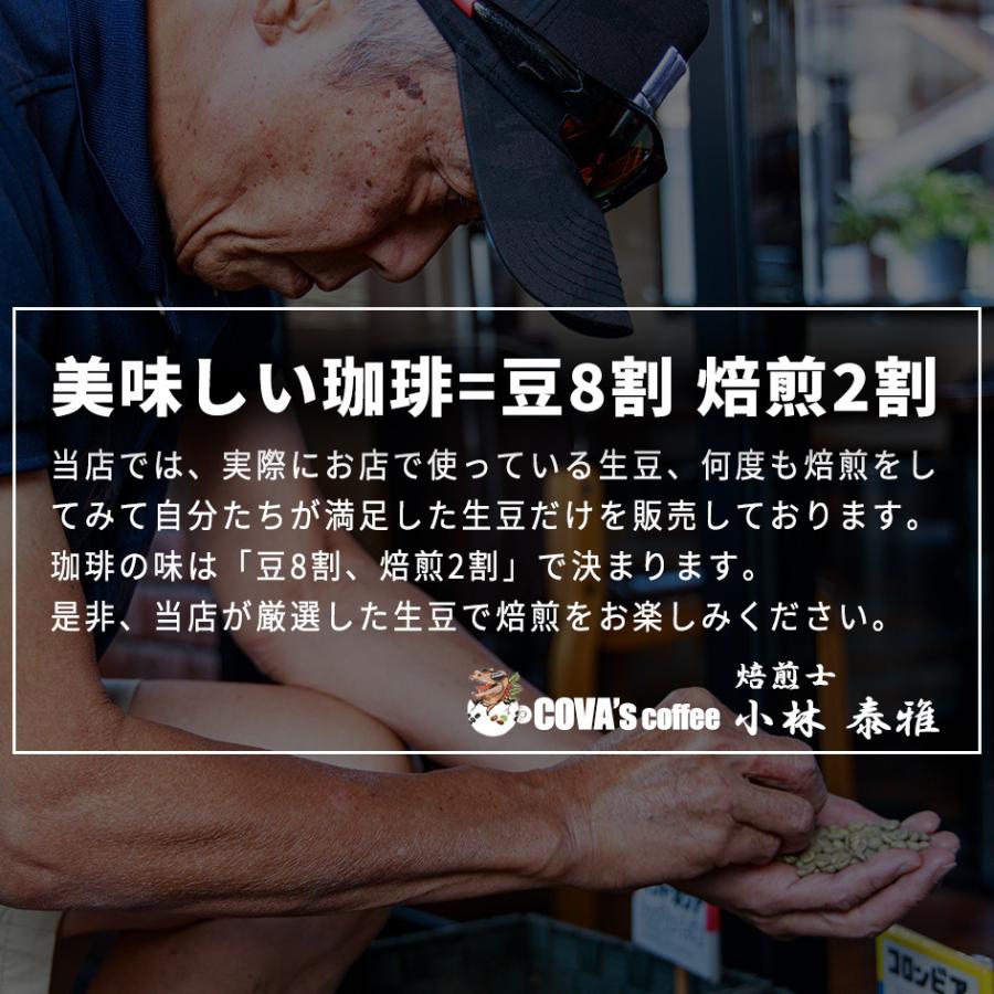 コーヒー 生豆 お得な 500g ブラジル トミオフクダ ドライオンツリー