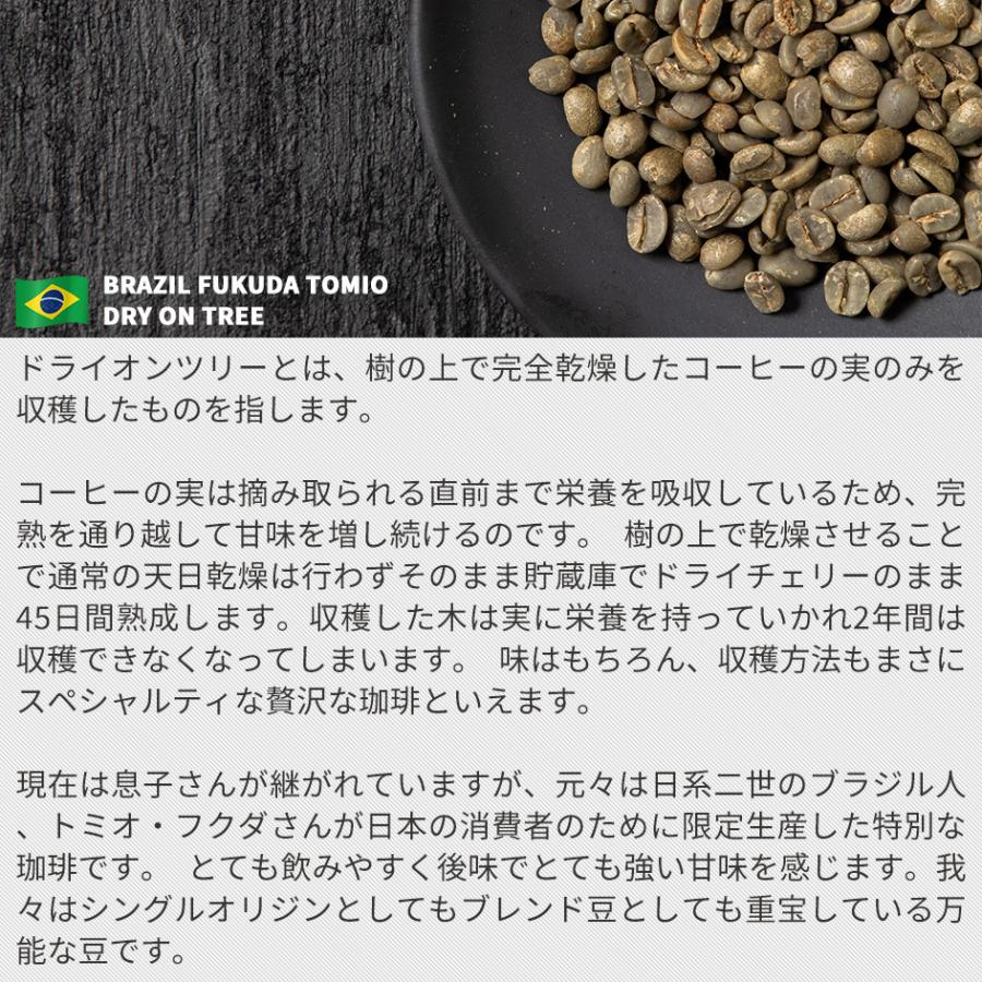 コーヒー お試し 生豆 100g ブラジル トミオフクダ ドライオンツリー