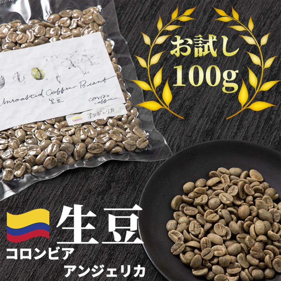 コーヒー 生豆 お試し 100g コロンビア アンジェリカ 珈琲 少量