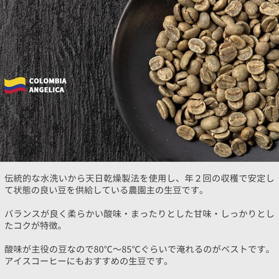 コーヒー 生豆 お試し 100g コロンビア アンジェリカ 珈琲 少量