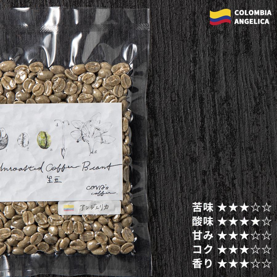 コーヒー 生豆 お試し 100g コロンビア アンジェリカ 珈琲 少量