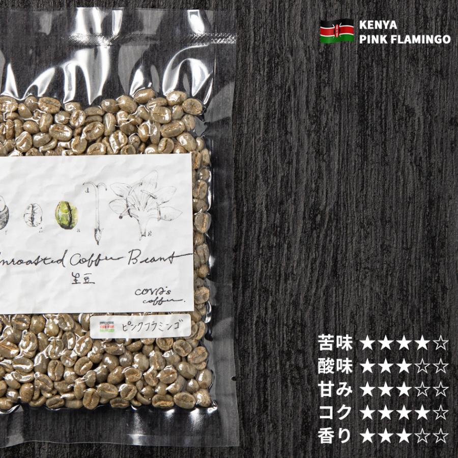 コーヒー 生豆 お試し 100g ケニア ピンクフラミンゴ 珈琲 少量