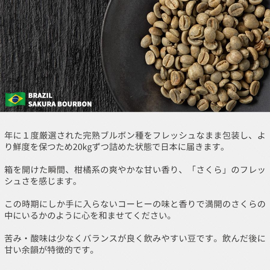 コーヒー 生豆 お得な 500g さくらブルボン 珈琲 コーヒー豆少量
