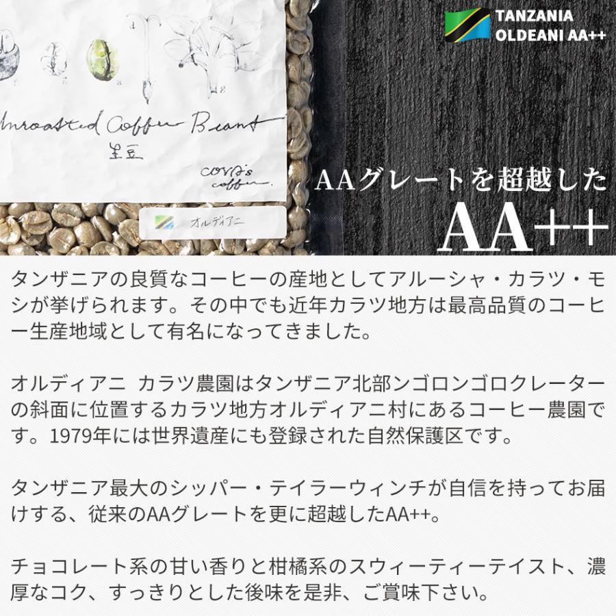 コーヒー 生豆 お試し 100g タンザニア オルディアニ AA++ 珈琲