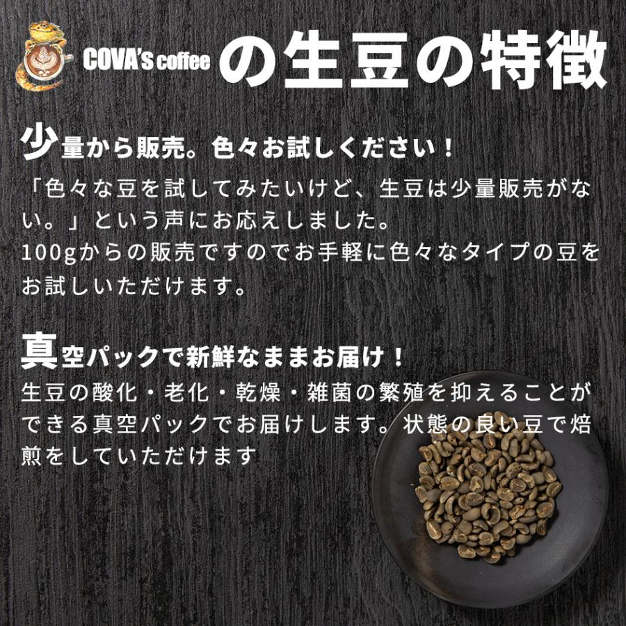 コーヒー 生豆 お試し 100g タンザニア オルディアニ AA++ 珈琲