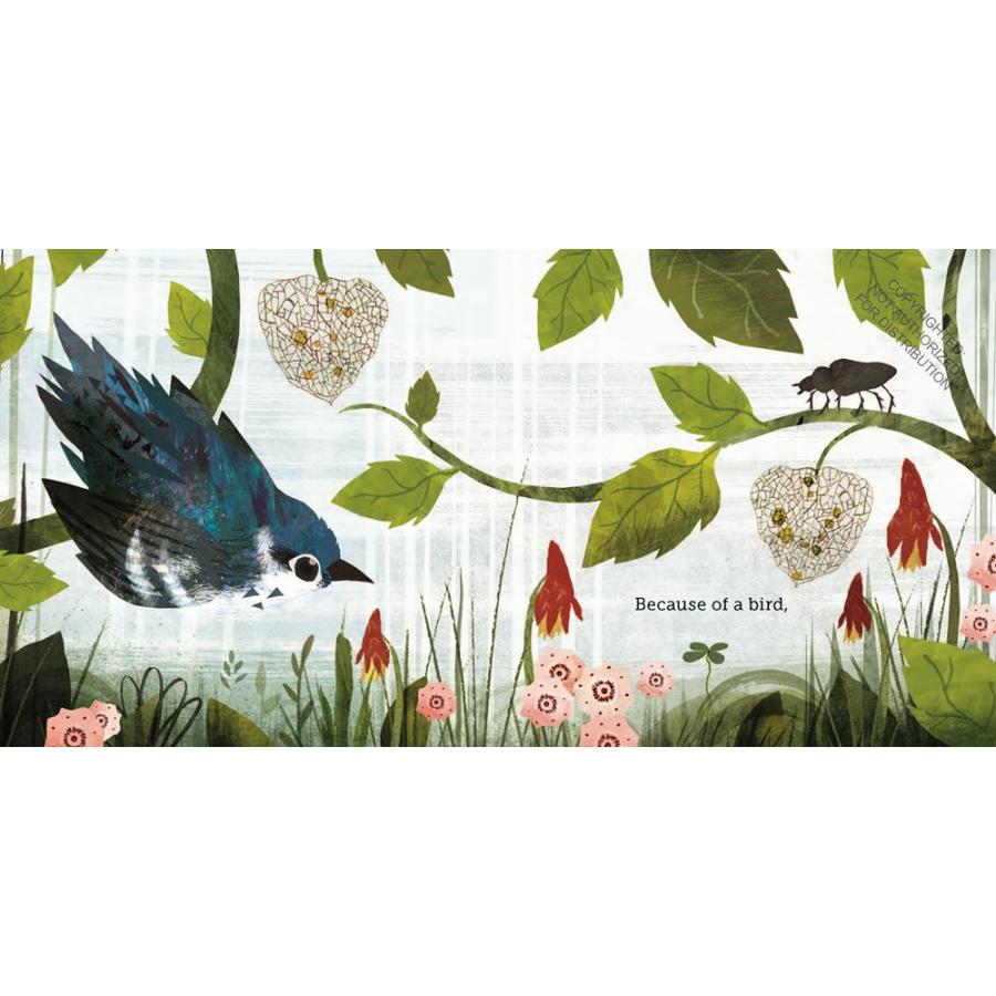BECAUSE OF AN ACORN｜たったひとつのドングリがーすべてのいのちをつなぐー（原書）英語絵本 洋書 子ども 読み聞かせ |  | 04