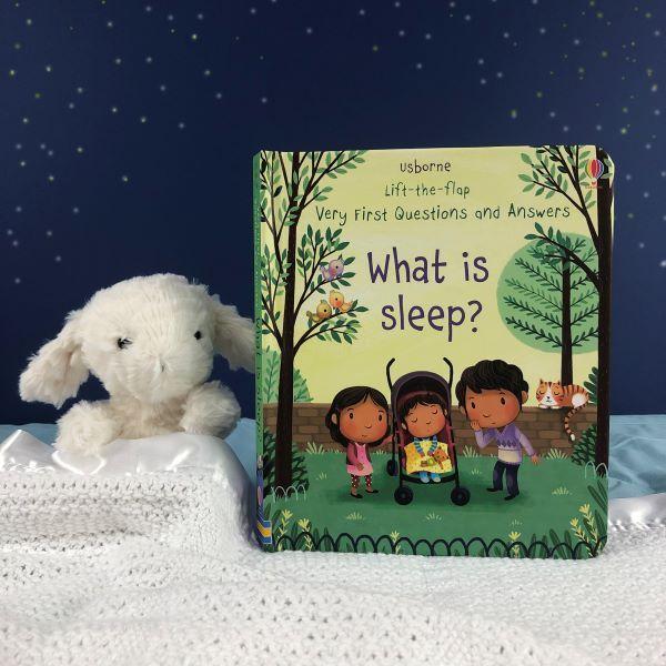 英語絵本 What is sleep? 洋書 しかけ絵本 Usborne Very First Questions and Answers What is Sleep?: Daynes