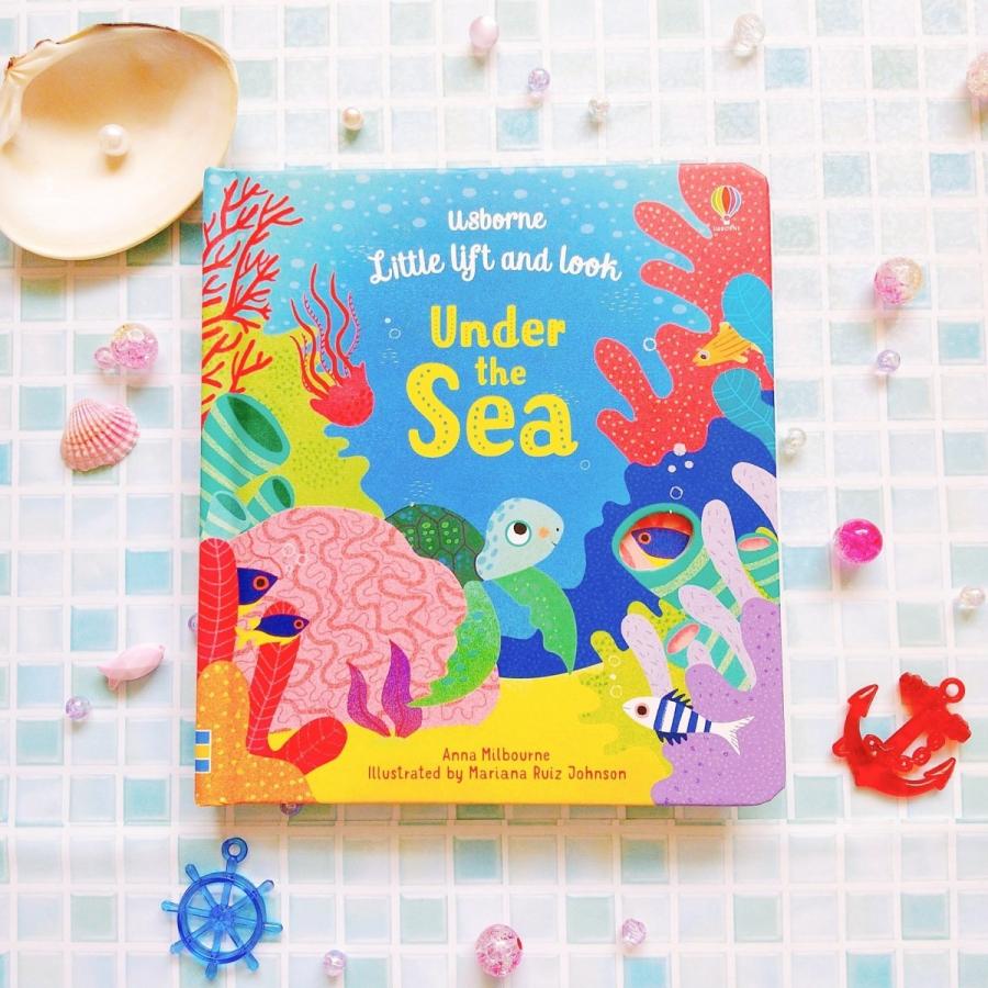 英語絵本 洋書 英語教材 幼児 しかけ 知育 海外 Picture book 赤ちゃん