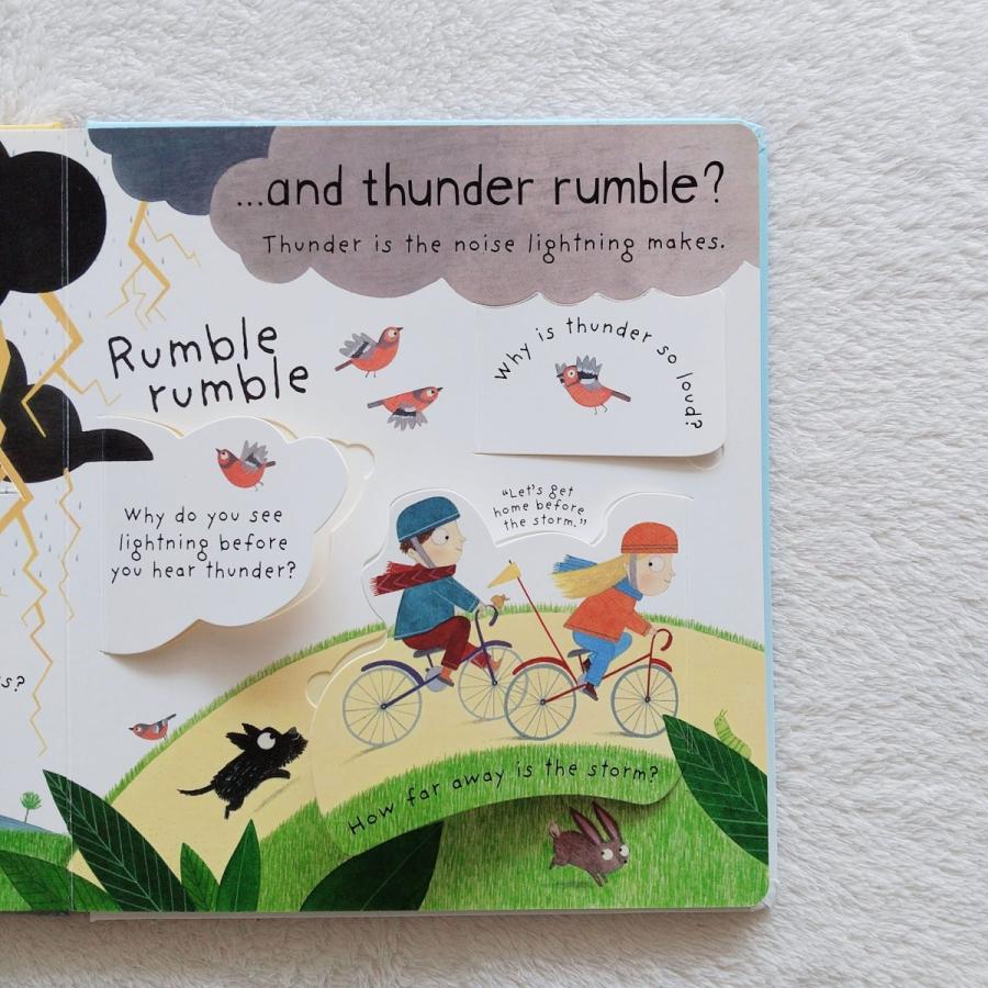 英語絵本 洋書 英語教材 幼児 しかけ 知育 海外 学び なに なぜ どうして 雨 自然科学 What makes it rain? |  | 04