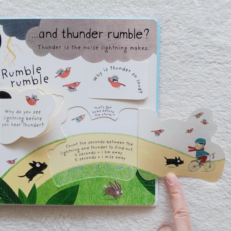 英語絵本 洋書 英語教材 幼児 しかけ 知育 海外 学び なに なぜ どうして 雨 自然科学 What makes it rain? |  | 05