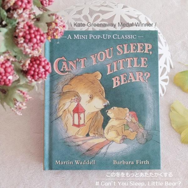 英語絵本 洋書 探し絵 小学生 中学生 子ども 読み聞かせ 海外 学び 英語教材 Can’t You Sleep, Little Bear? |  | 02