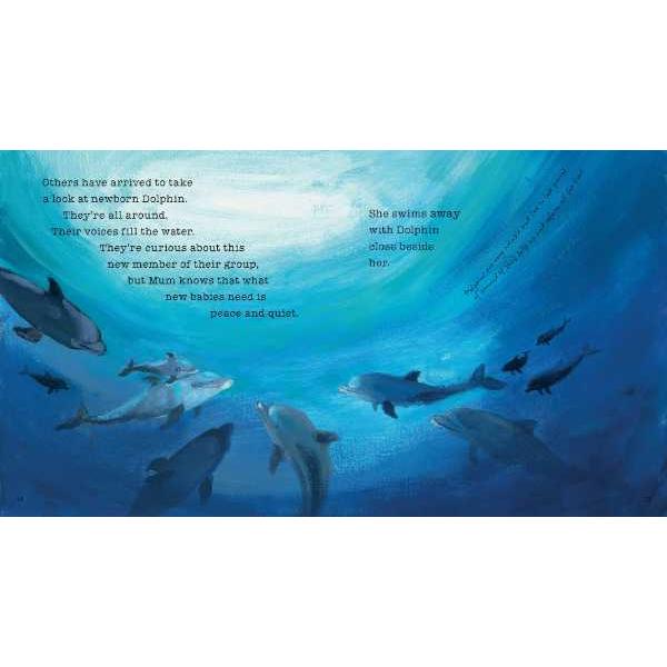 Dolphin Baby｜英語絵本 洋書 小学生 中学生 子ども 読み聞かせ 海外