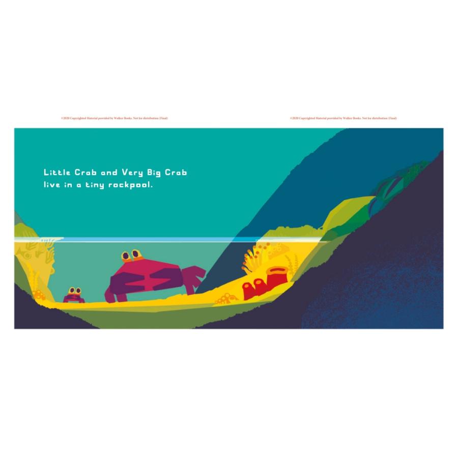 Don't Worry, Little Crab｜うみへいった ちいさなカニカニ（原書）クリス・ホートン英語絵本 洋書 読み聞かせ ハードカバー |  | 01