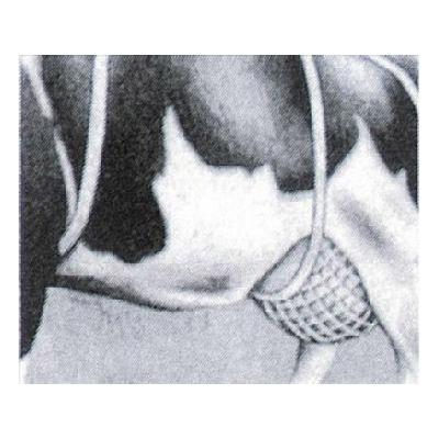 乳房カバー ネット 特大 | 