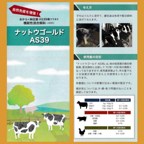 ナットウゴールドAS39 納豆菌 畜産用A飼料 サンプル 1kg  免疫 グロブリン 繁殖農家 子牛 素牛｜cowtaro｜05