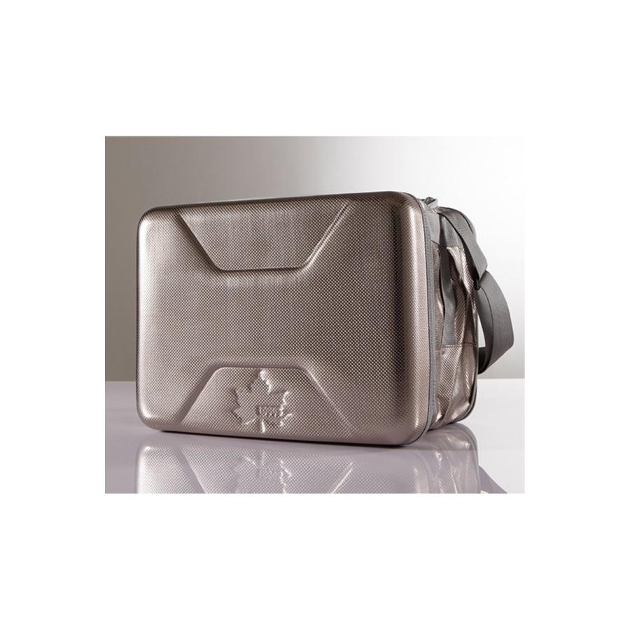 LOGOS ヒョウテンカ クーラーL