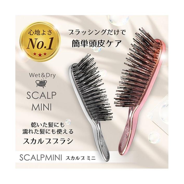 Twissty ツイスティ スカルプミニブラシ シルバー : COX-ONLINE SHOP