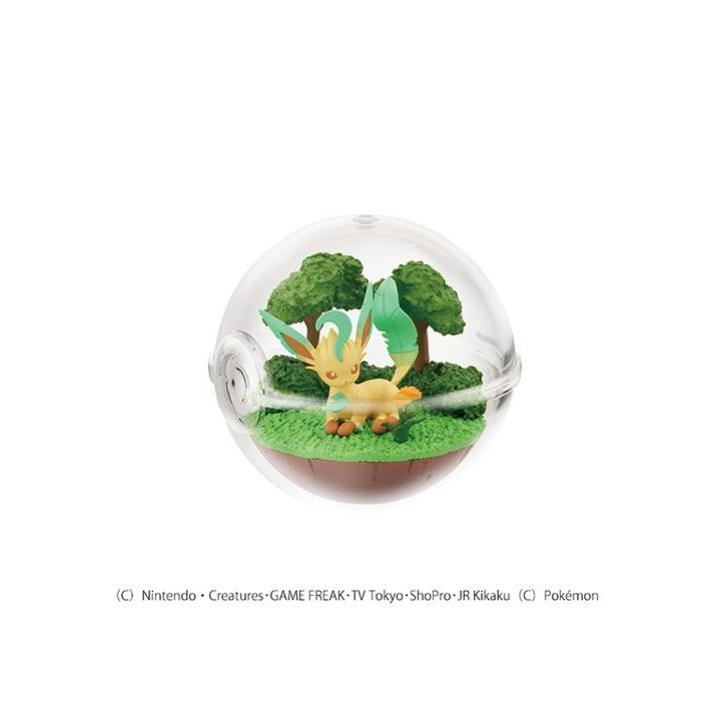 リーメント ポケモン テラリウムコレクション14 BOX : COX-ONLINE SHOP