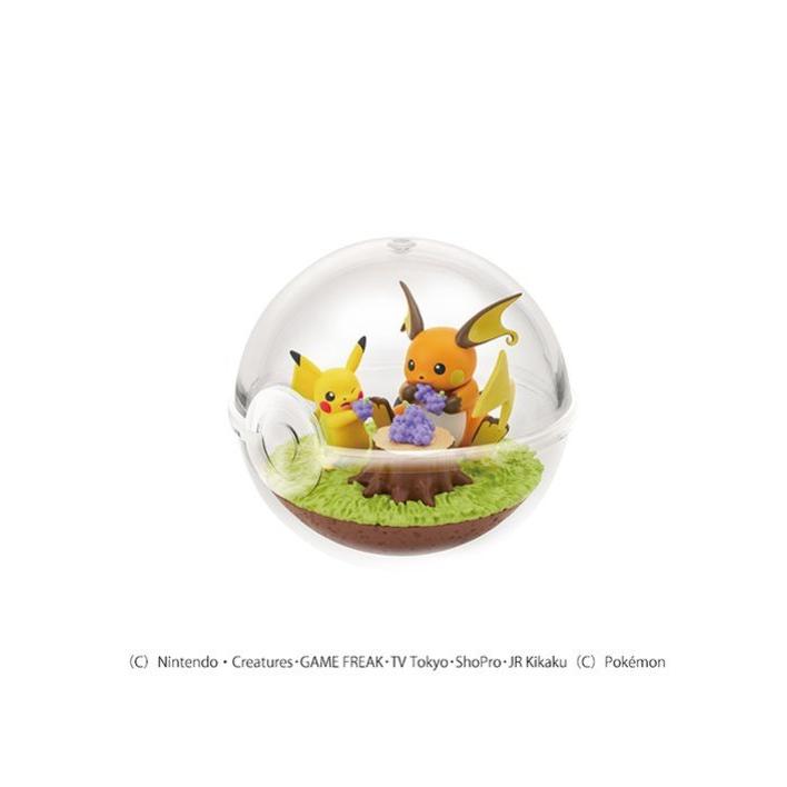 リーメント ポケモン テラリウムコレクション14 BOX : COX-ONLINE SHOP