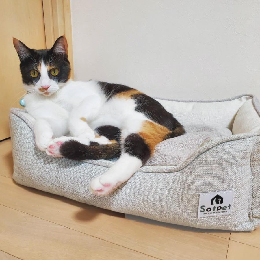 Sotpet 日本製 ドビー織り ペットベッド Lサイズ 42×60cm 小型犬