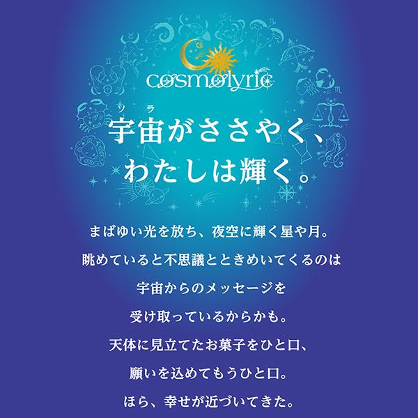 バレンタイン 2026 ギフト スイーツ プレゼント 惑星モチーフ 星座 月 星 ＜コスモリリック＞月の煌めきエレメント〜火と地〜（4個入） 銀座コージーコーナー | 銀座コージーコーナー | 02